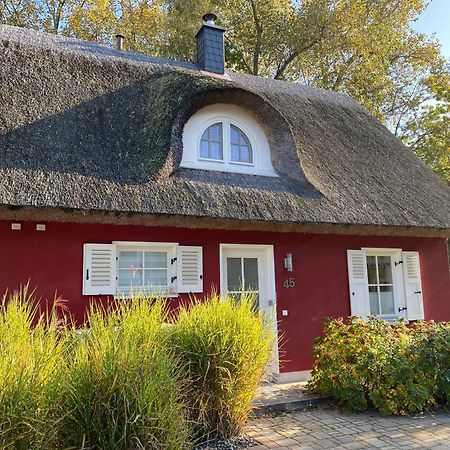 Ferienhaus Stella Glowe Exterior photo